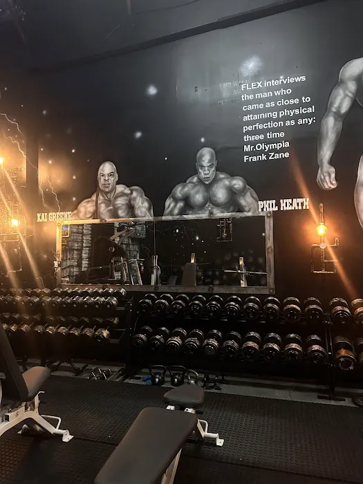 Steel Gym LLC Picture 4