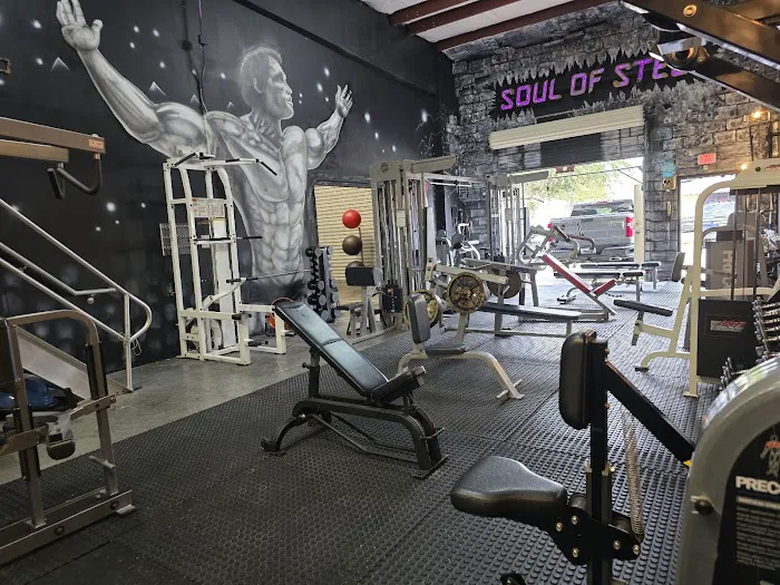 Steel Gym LLC Picture 6