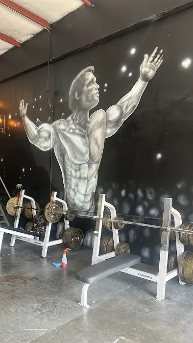 Steel Gym LLC Picture 8