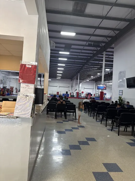 Orlando Gymnastics Picture 8