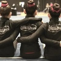 Orlando Gymnastics ico