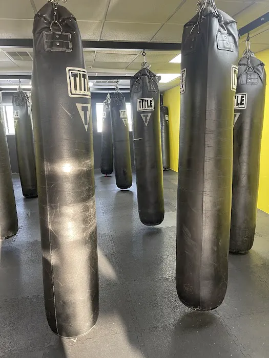 PRIME BOXING USA Picture 10