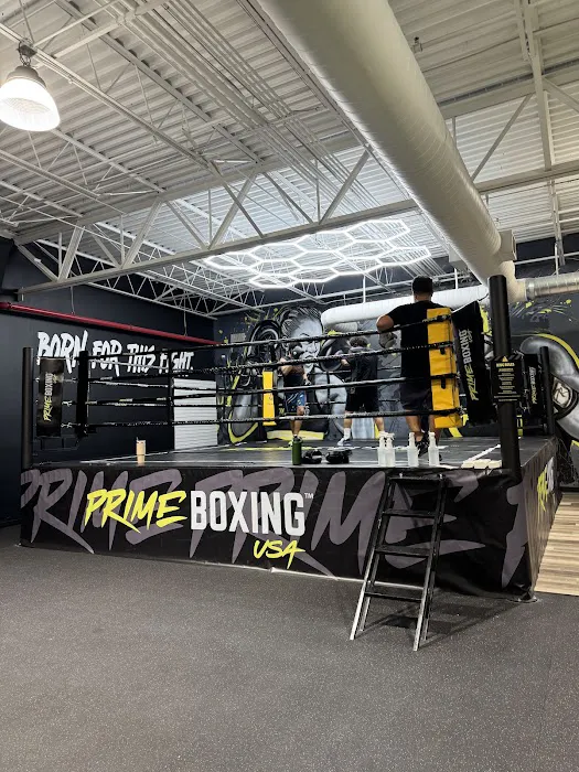 PRIME BOXING USA Picture 6