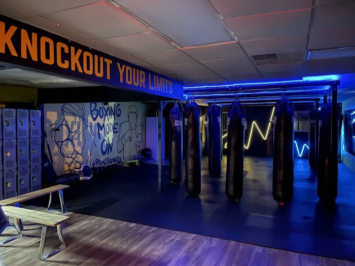 PRIME BOXING USA Picture 2