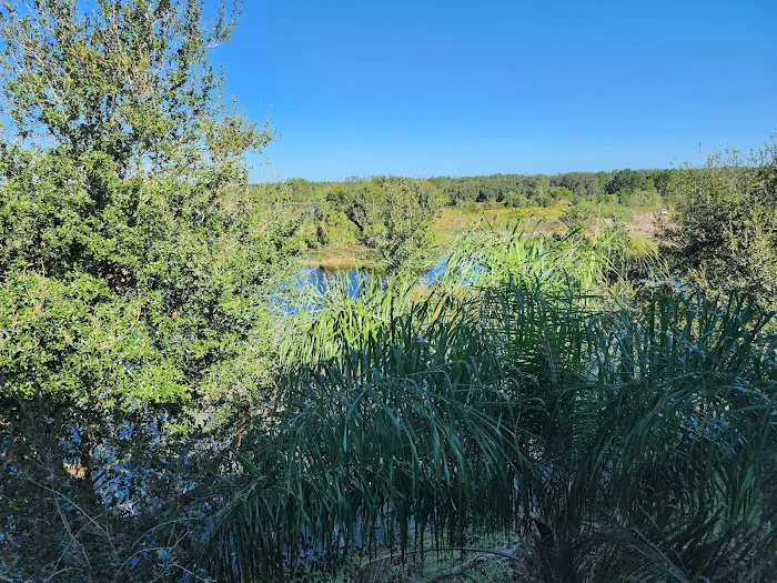 Summer Bay Resort Gym Picture 9