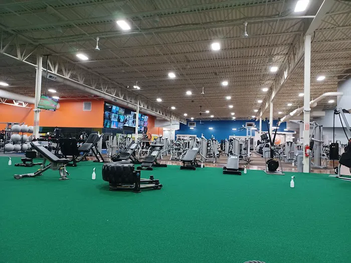 Fitness CF Picture 4