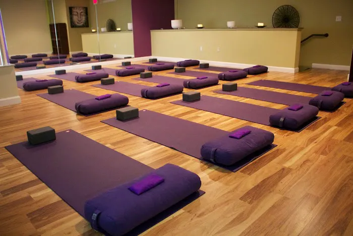 Inspirit Yoga Studio Picture 1
