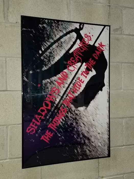 Orlando Aerial Arts Picture 3