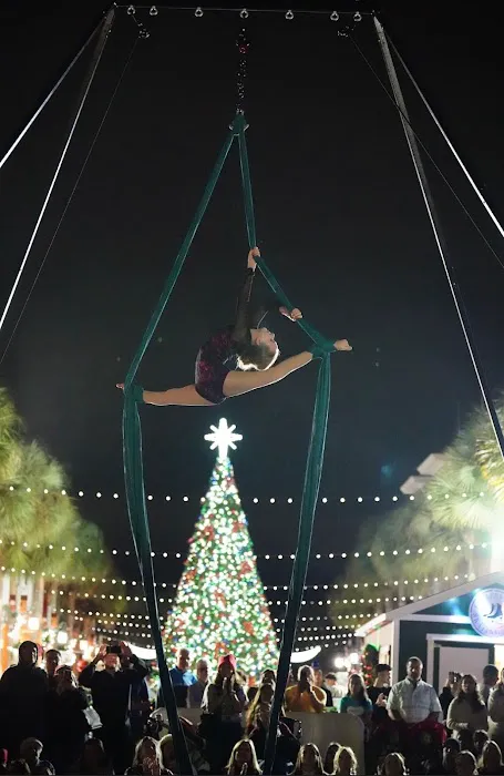 Orlando Aerial Arts Picture 7