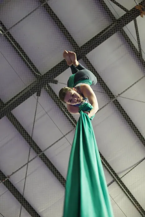 Orlando Aerial Arts Picture 8