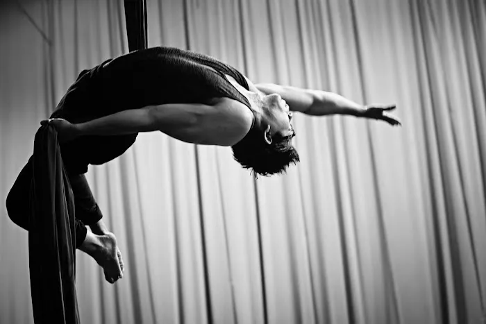 Orlando Aerial Arts Picture 5