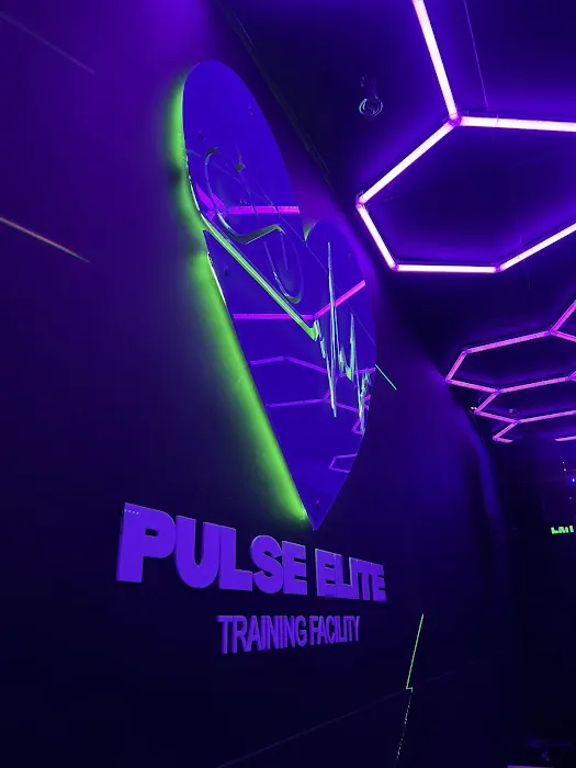 Pulse Elite Training Picture 3