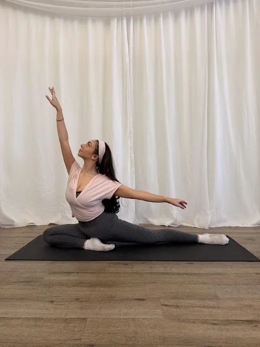 The MVMNT Lab Picture 2