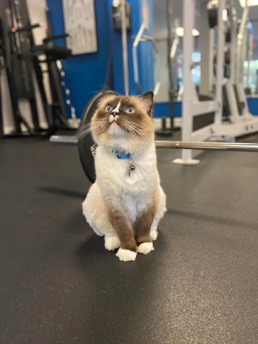 Body Coach Personal Training Picture 5