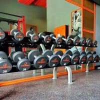 HOTWORX - Winter Garden, FL ico