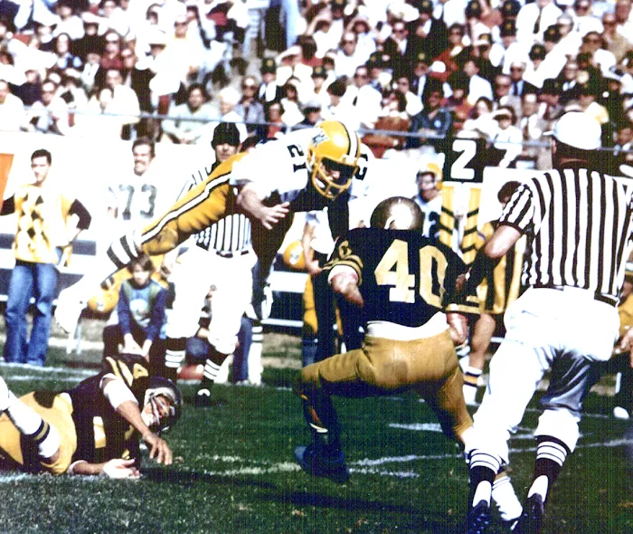 The Fitness Studio of Orlando Picture 1