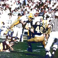 The Fitness Studio of Orlando ico