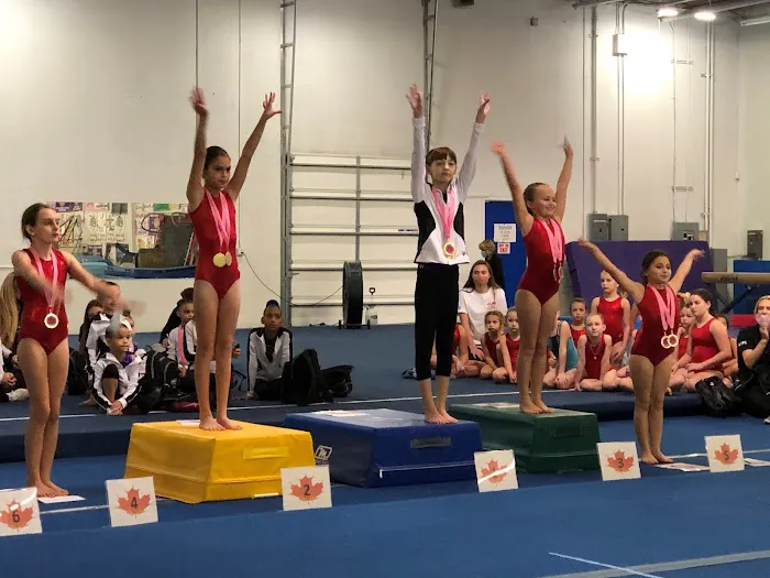 SportsRock Gymnastics Picture 3