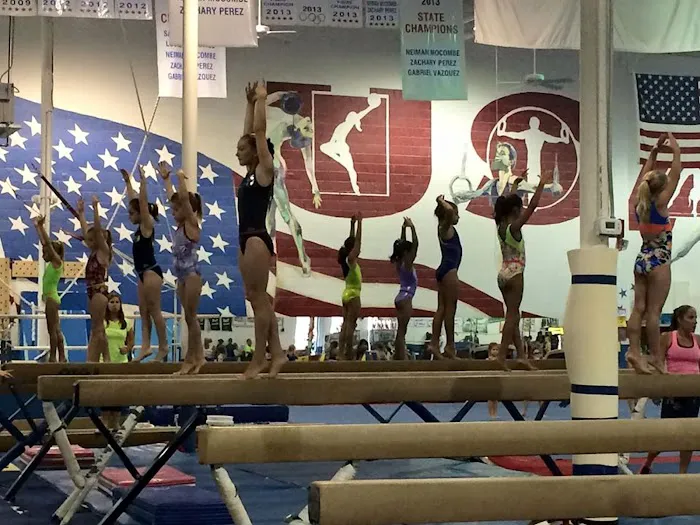 Orlando Metro Gymnastics Picture 3