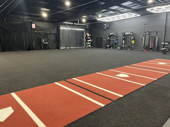 Baseball Paradise Picture 5