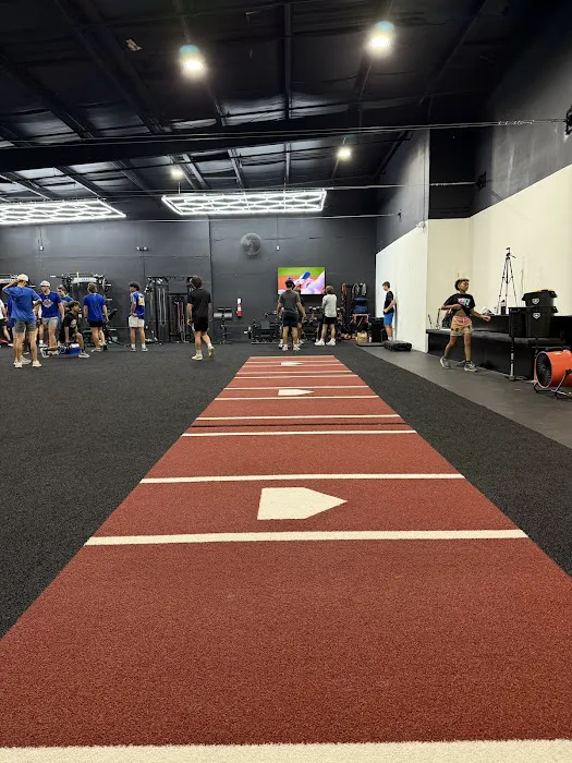 Baseball Paradise Picture 1