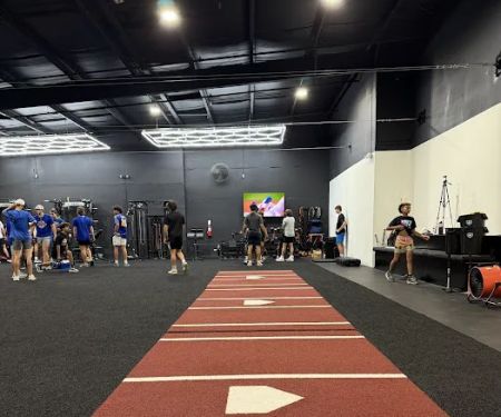 Baseball Paradise