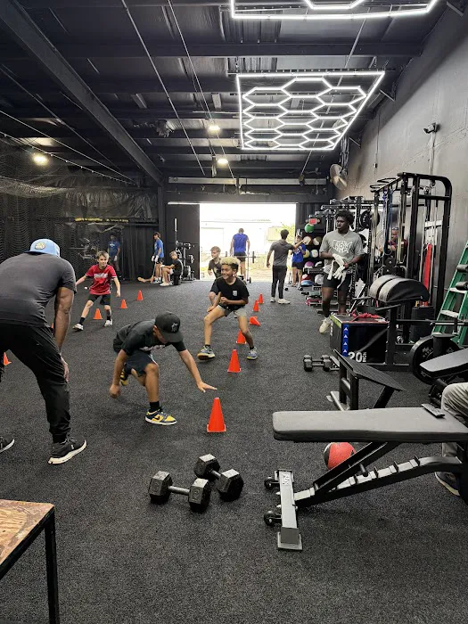 Baseball Paradise Picture 4