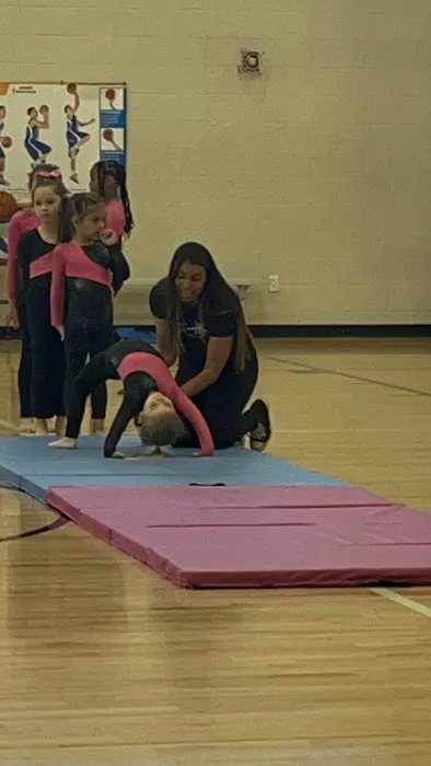 We Do Gymnastics Picture 5