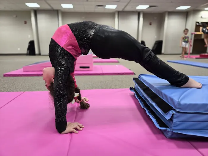 We Do Gymnastics Picture 2