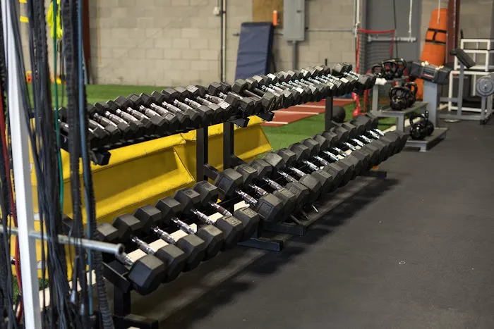 Rise Athletics Picture 8