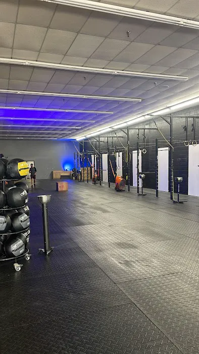 Apex Functional Fitness Picture 7