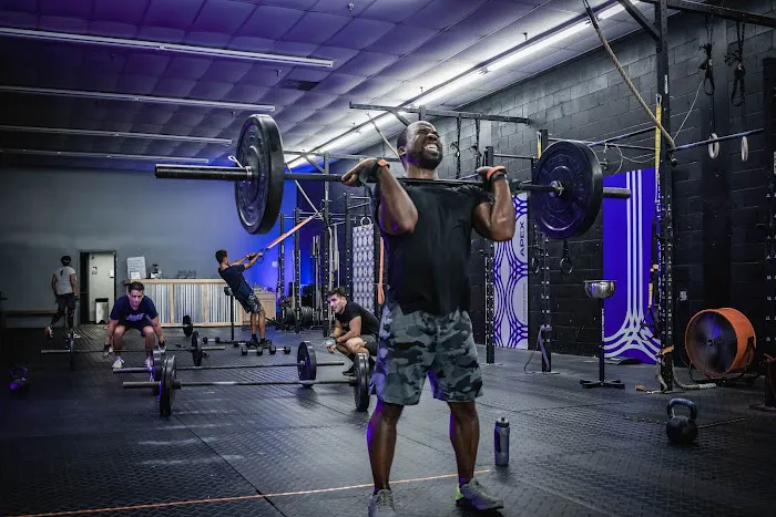Apex Functional Fitness Picture 3