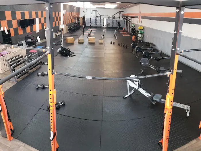 Apex Functional Fitness Picture 9