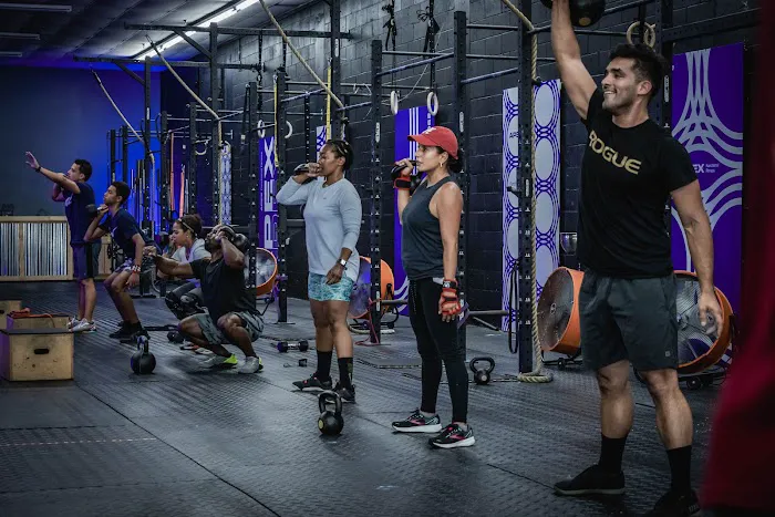 Apex Functional Fitness Picture 10