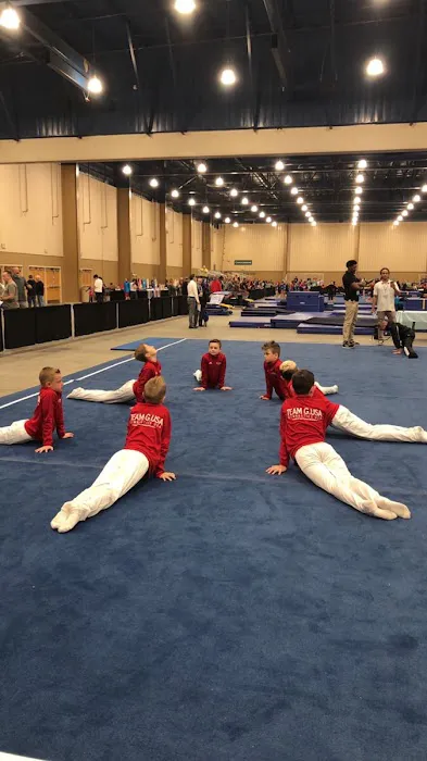 Gymnastics USA Picture 10
