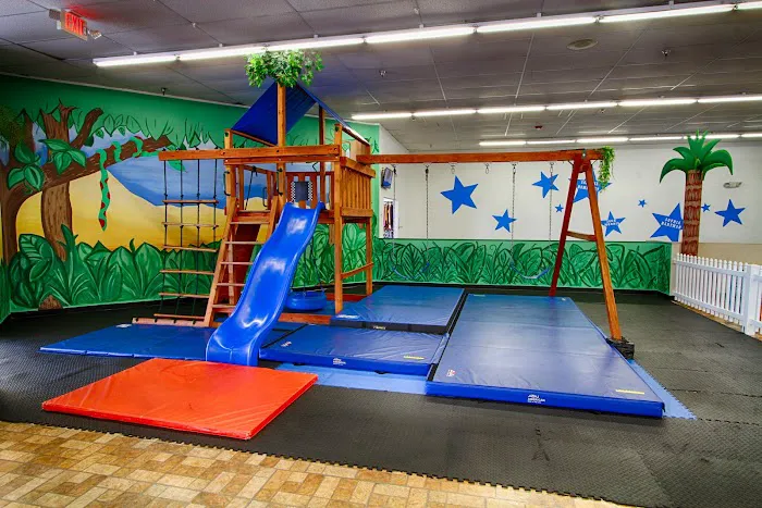 Gymnastics USA Picture 4