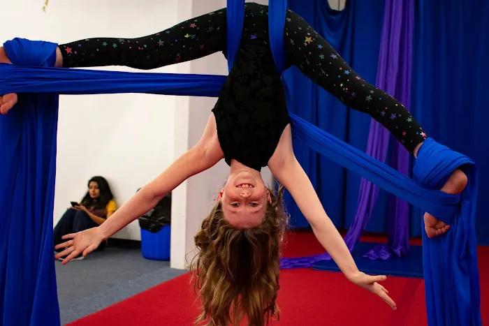 Climbers Aerial Arts & Fitness Picture 7
