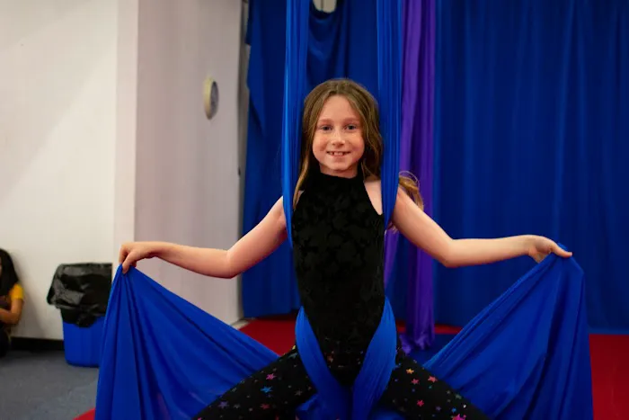 Climbers Aerial Arts & Fitness Picture 1