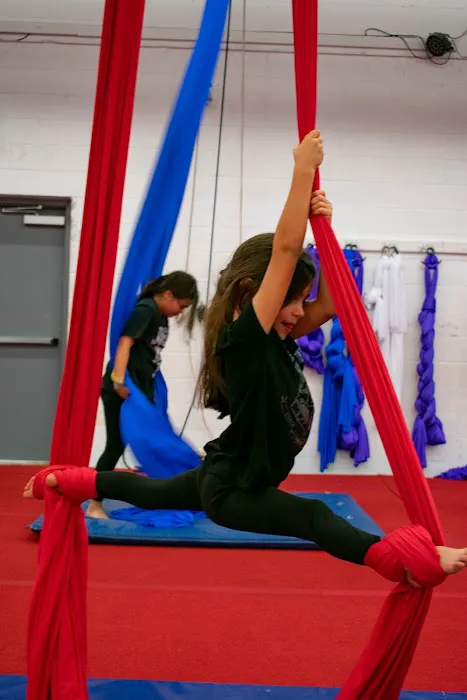 Climbers Aerial Arts & Fitness Picture 3