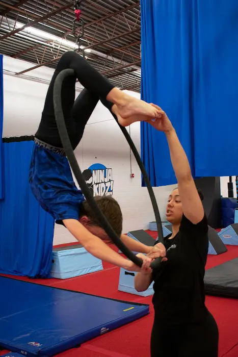 Climbers Aerial Arts & Fitness Picture 9