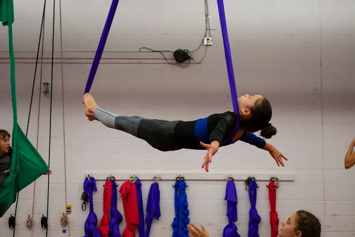 Climbers Aerial Arts & Fitness Picture 8