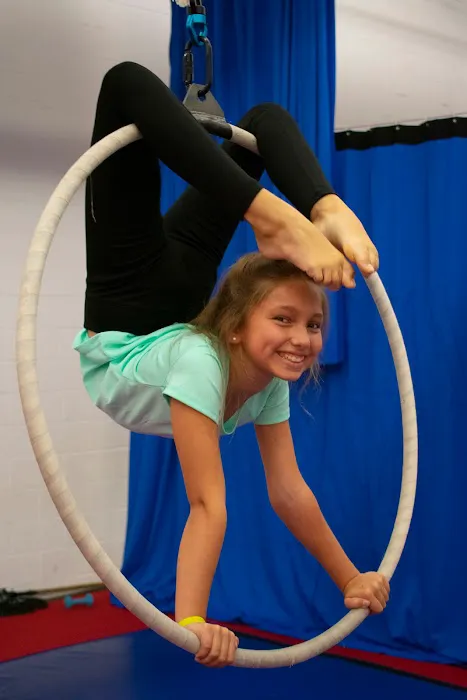 Climbers Aerial Arts & Fitness Picture 10