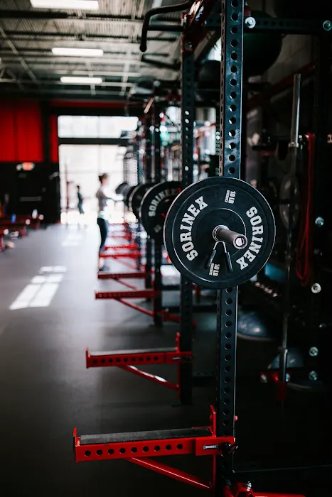 D1 Training Winter Garden Picture 3