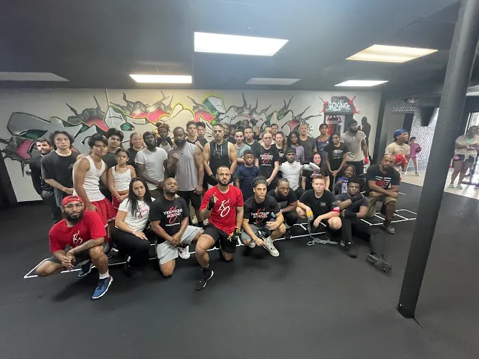 Teknique boxing Picture 3