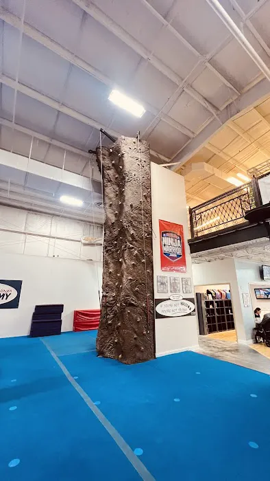 Obstacle Ninja Academy Picture 1
