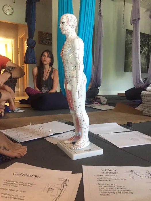 Elevate Yoga Center Picture 6