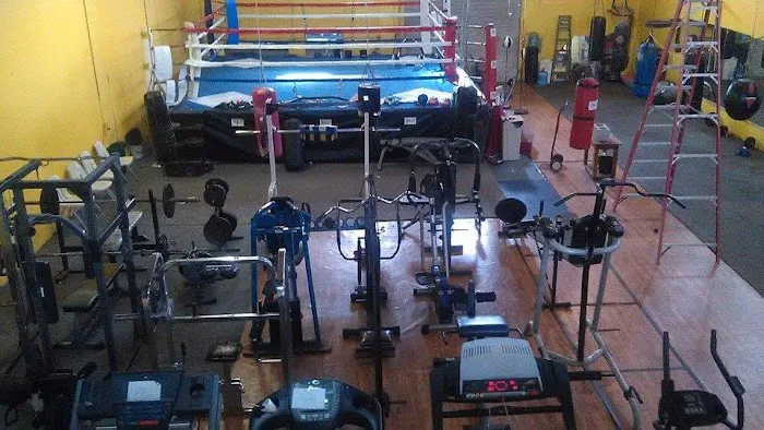 Harris Boxing & Fitness Center Picture 2