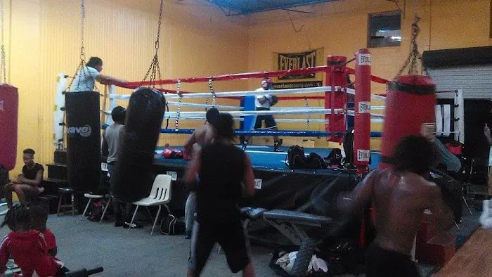 Harris Boxing & Fitness Center Picture 6