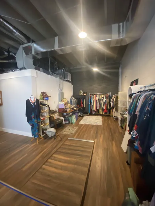 Peaceful Peacock Orlando Picture 10