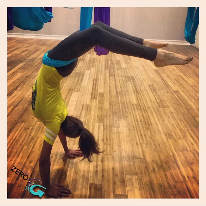 Studio Zero G Picture 7